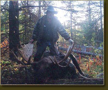 Guided Moose Hunts BC Canada